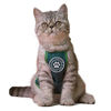Picture of MIANHUATANG Pet Apron Saliva TowelHalloween cat Clothes,Pets Cosplay Clothes, Pet Dog CostumeFunny Pet Clothes Suitable for Most Small Dogs or Cats.Pet Clothes for Small Dogs