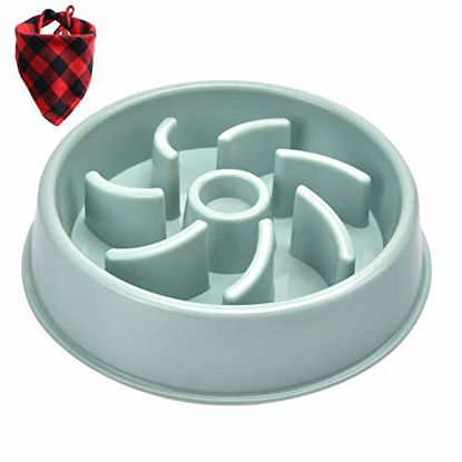 Picture of Zard zoop Dog Feeder Slow Eating Pet Bowl, Preventing Choking Pet Bowls Eco-Friendly Durable Non-Toxic Healthy Design Bowl for Dog Pet Slow Feeder