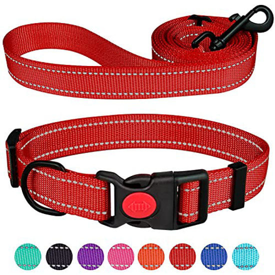 Lockable sales dog collar
