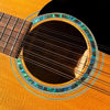 Picture of Inlay Sticker Decal Acoustic Guitar Purflinng Sound hole In Abalone Theme - Rosette Strip /GR