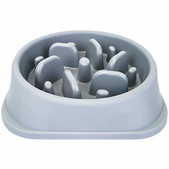 NOYAL Slow Feeder Dog Bowls Puzzle Anti-Gulping Interactive Bloat