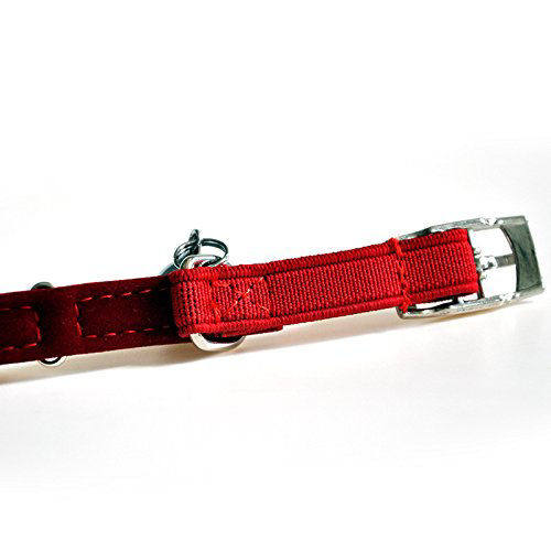 Photo inspiration: Fresh Look at Getuscart Chukchi Soft Velvet Safe Cat Adjustable Collar Bling
