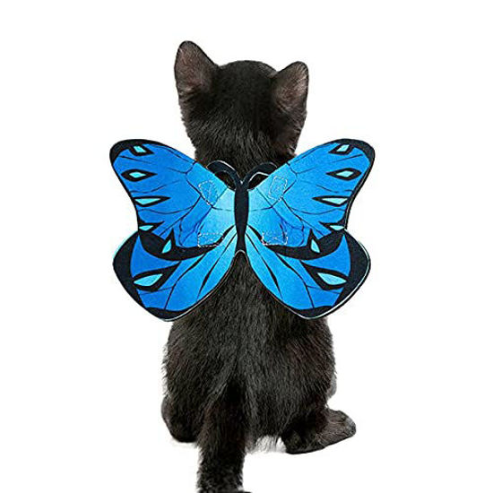 Cat clearance wings costume