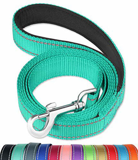Picture of FunTags 6FT Reflective Dog Leash with Soft Padded Handle for Training,Walking Lead for Medium & Small Dogs,3/4 Inch Wide,Turquoise