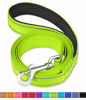 Picture of FunTags 6FT Reflective Dog Leash with Soft Padded Handle for Training,Walking Lead for Medium & Small Dogs,3/4 Inch Wide,Green