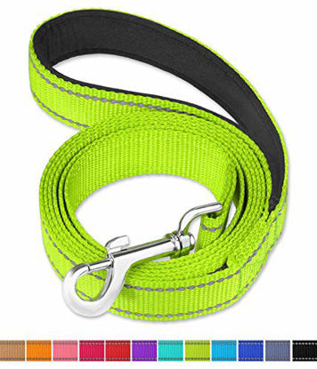 Picture of FunTags 6FT Reflective Dog Leash with Soft Padded Handle for Training,Walking Lead for Medium & Small Dogs,3/4 Inch Wide,Green