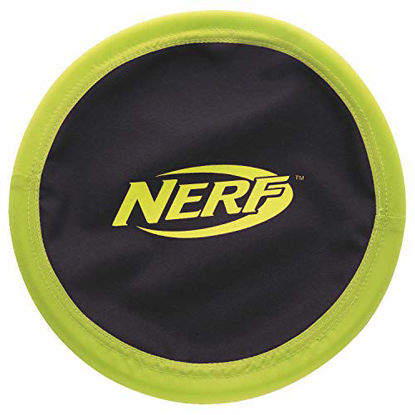 Picture of Nerf Dog Tire Flyer Dog Toy, Frisbee, Lightweight, Durable and Water Resistant, Great for Beach and Pool, 10 inch Diameter, for Medium/Large Breeds, Single Unit, Green