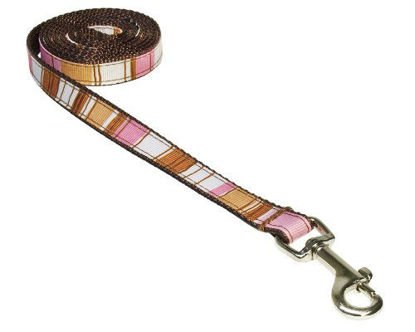 Picture of XSmall Brown/Multi Stripe Dog Leash: 1/2" Wide, 4ft Length - Made in USA.