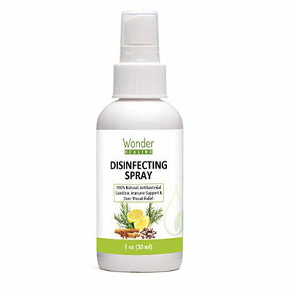 Picture of 100% Natural Germ Killer Spray & Immune Support, Water Based Formula Including Clove, Lemon, Rosemary, Cinnamon Eucalyptus, Anti Bacterial sanitizer - Made in USA (30 ml - 1 oz)