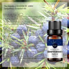 Picture of 2-Pack Juniper Berry Essential Oils, 100% Pure, Undiluted, Therapeutic Grade Juniper Berry Oil - 2x10 mL