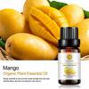 Picture of 2-Pack Mango Essential Oil, Pure, Undiluted, Therapeutic Grade Camphor Oil - 2x10 mL