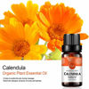 Picture of 2-Pack Calendula Essential Oil 100% Pure Oganic Plant Natrual Flower Essential Oil for Diffuser Message Skin Care Sleep - 10ML