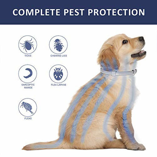 Flea And Tick Control Collar With Disconnect Beads Reference: Getuscart Sealuxe Flea And Tick Collar For Dogs Flea And