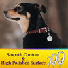 Picture of Leash King Pet Tag Quick Clip / Sping-Load Hook Combo for Pet ID Tags - 2 Large
