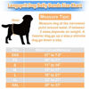 Picture of Langsprit Male Belly Bands for Dogs (Pack of 3) - High Absorbing Dog Wraps Male Washable - Reusable Male Dog Diapers (Black, Small)