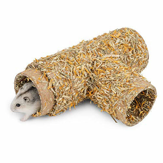 Hamster tunnels discount diy