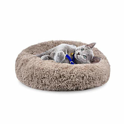 Fade Resistance Cozy Pet Cat Sofa PET GROW 2 in 1 Cat Bed Cave House for Hamster Squirrel Small Animal Non Skid Kittens Bed Cat Condo Pet Bed