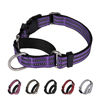 Picture of Martingale Dog Collars - Adjustable Reflective Dog Training Collar with Quick Release Buckle for Small Medium Large Dogs.