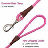 Picture of MayPaw 4FT/6FT/8FT/10FT Dog Leash, Classic Solid Colors, Durable Mountain Climbing Rope Dog Leash Reinforced with Leather Tailor Connection Heavy Duty Silver Clasp