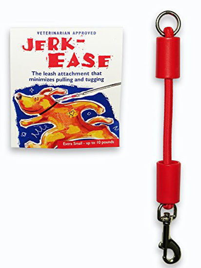 Bungee dog leash online extension