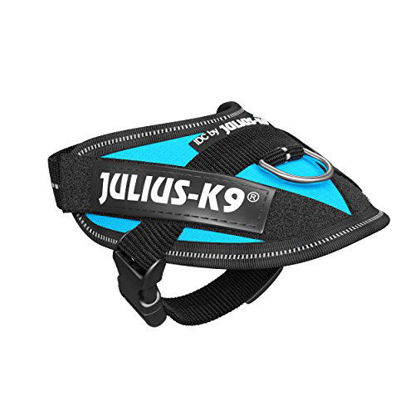 Picture of Julius-K9, 16IDC-AM-B2, IDC Powerharness, dog harness, Size: Baby 2, Aquamarine