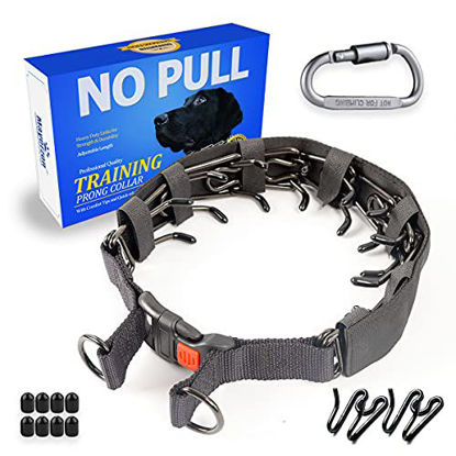 Picture of Mayerzon Dog Prong Training Collar, Dog Choke Pinch Collar with Comfort Tips and Quick Release Snap Buckle for Small Medium Large Dogs (Small,2.5mm,15.7-Inch,10-14" Neck, Gun Black)