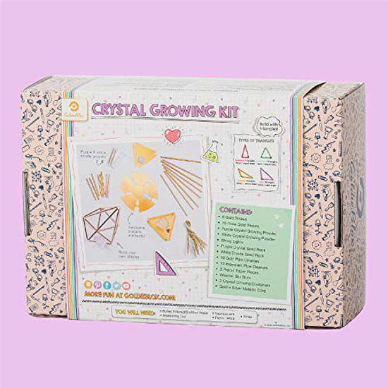 GoldieBlox Crystal Growing Kit for Kids 10+ Educational DIY STEM Activity NEW 