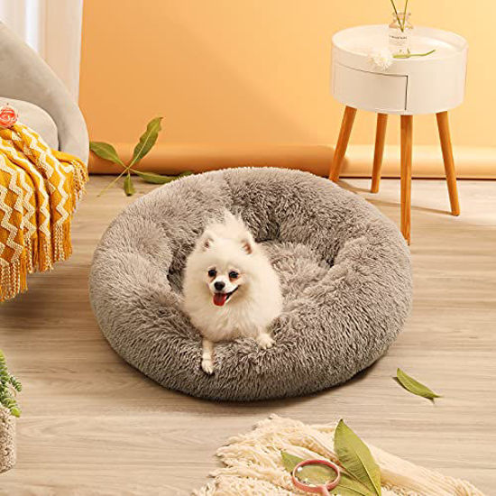Orthopedic donut dog bed deals