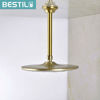 Picture of BESTILL 8 Inch Ceiling Mount Shower Arm and Flange, Brushed Gold