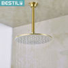 Picture of BESTILL 8 Inch Ceiling Mount Shower Arm and Flange, Brushed Gold