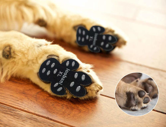 GetUSCart- LOOBANI 48 Pieces Dog Paw Protector Traction Pads to Keeps Dogs  from Slipping On Floors, Disposable Self Adhesive Shoes Booties Socks  Replacement, 12 Sets for 4 Paws (XL-1.97x2.12, Black)