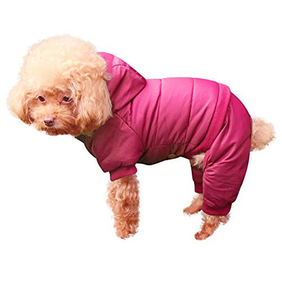 Promotional discounts Worldwide Shipping JoyDaog Fleece Lined Dog Coat with Detachable Hood and