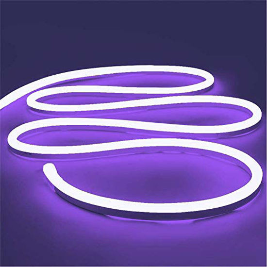GetUSCart- iNextStation Neon LED Strip Light 16.4ft/5m 12V DC 600 SMD2835  LEDs Waterproof Flexible LED NEON Light for Indoors Outdoors Decor [ Purple