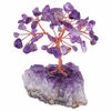 Picture of mookaitedecor Amethyst Crystal Tree, Amethyst Cluster Crystals Base Bonsai Money Tree for Wealth and Luck