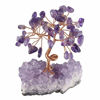 Picture of mookaitedecor Amethyst Crystal Tree, Amethyst Cluster Crystals Base Bonsai Money Tree for Wealth and Luck