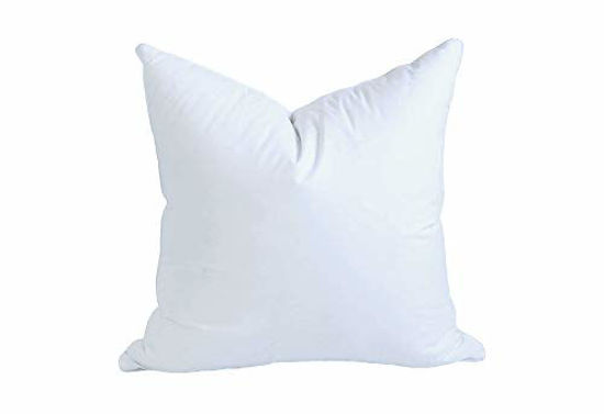 https://www.getuscart.com/images/thumbs/0840714_moonrest-24x24-inch-synthetic-down-alternative-square-pillow-insert-form-stuffer-for-sofa-shams-deco_550.jpeg
