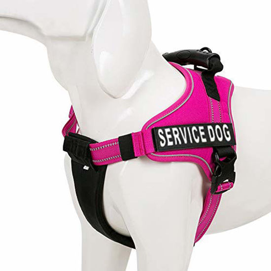 GetUSCart Chai s Choice Premium Service Dog Vest Service Dog Harness with Reflective Service Dog Patches and Sturdy Handle Dogs Matching Padded Leash Available X Small Fuchsia