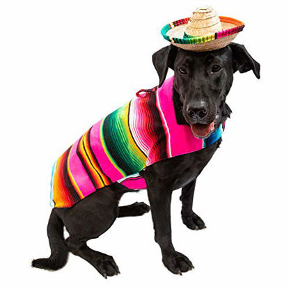 Picture of Baja Blanket Factory - Mexican Dog Sweater Poncho Hallowen Costume - Dog Clothes for Small or Big Dogs