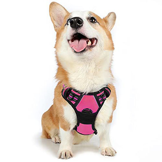 Easy on no deals pull dog harness