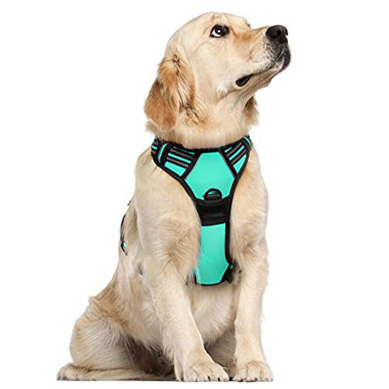 GetUSCart rabbitgoo Dog Harness No Pull Pet Harness with 2 Leash