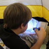 Picture of Evelots Hand Crank Flashlight-Camp-Home-Car-No Battery-LED Bright Light-Set/12