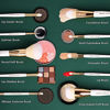 Picture of Brush Master Makeup Brushes Set 10Pcs Professional Kabuki Foundation Eyeshadow Blush Blending Lip Full Face Cosmetic Kit W/Makeup Brush Set with Holder
