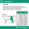 Picture of After Surgery Wear Hip and Thigh Wound Protective Sleeve for Dogs. Dog Recovery Sleeve. Recommended by Vets Worldwide (Small - Short Sleeve, Teal Green)