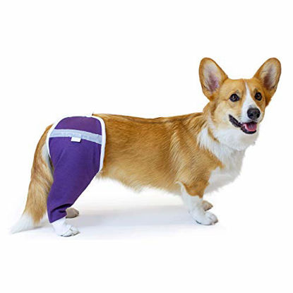 Picture of After Surgery Wear Hip and Thigh Wound Protective Sleeve for Dogs. Dog Recovery Sleeve. Recommended by Vets Worldwide (X-Small - Short Sleeve, Purple)