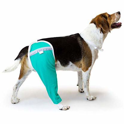Picture of After Surgery Wear Hip and Thigh Wound Protective Sleeve for Dogs. Dog Recovery Sleeve. Recommended by Vets Worldwide (X-Small, Teal Green)