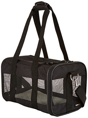 Picture of Amazon Basics Soft-Sided Mesh Pet Travel Carrier, Small (14 x 9 x 9 Inches), Black