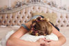 Picture of Octocurl: Soft No Heat Hair Curlers for Overnight