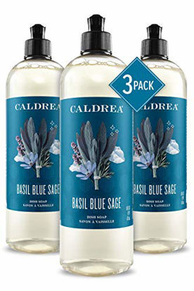 Picture of Caldrea Dish Soap, Biodegradable Dishwashing Liquid made with Soap Bark and Aloe Vera, Basil Blue Sage Scent, 16 oz , 3 Pack
