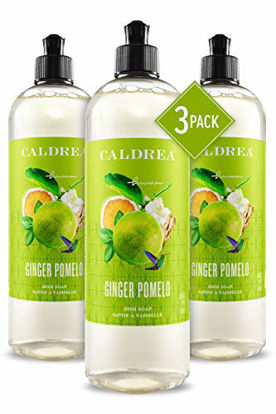 Picture of Caldrea Dish Soap, Biodegradable Dishwashing Liquid made with Soap Bark and Aloe Vera, Ginger Pomelo, 16 oz , 3 Pack