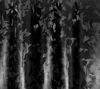 Picture of VViViD+ 2020 Edition Black Stealth Medium Pattern Camouflage Vinyl Wrap Roll (3ft x 5ft)